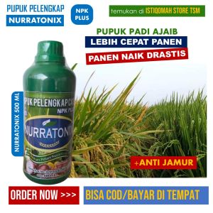 NURRATONIX Pupuk NPK PADI Menambah Anakan Padi Pengganti Urea Pelebat Batang Penambah Padat Besar Bulir Padi - Pupuk Organik NPK PLUS Anti Busuk dan JAMUR