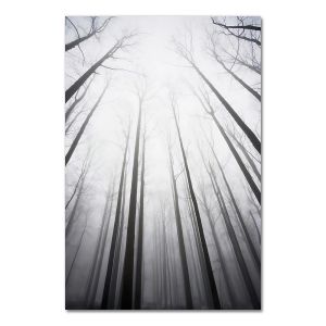 BILIBILI | Picture Nordic Poster Canvas Painting Home Decor Art  Prints Tall Trees Forest  Natural Wall Pictures Living Room Art Decoration