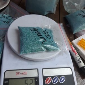 Scotts° Zoysia Matrella Manila 50Gram - Benih Rumput Lapangan Sepak bola 50G