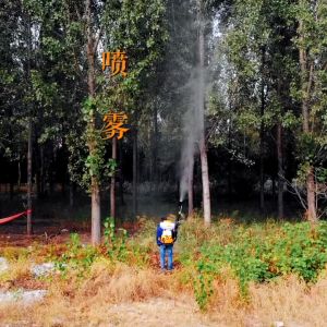 เครื่องพ่นปุ๋ย 2จังหวะ เครื่องพ่นเมล็ดข้าว 26 ลิตร 3WF เครื่องพ่นลม พ่นปุ๋ย หว่านข้าว คอสแตนเลส 3นิ้ว Hashitech (มี 2สี สีเขียว สีส้ม)