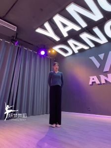 古典舞蹈服装上衣弹力修身集训服中国舞现代舞女练功服小V领Classic dance dress shirt elastic slim fitting training suit Chinese dance modern dancer training suit small V-neck