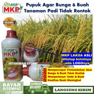 MKP LAKSA GROW 500ML Pupuk Anti Rontok Bunga dan Buah Padi - Pupuk Pelebat Bunga dan Buah - Pupuk untuk Mempercepat Pertumbuhan Akar Bunga dan Buah Tidak Mudah Rontok pada Tanaman Padi yang Bagus dan Manjur MURAH TERLARIS
