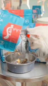 Hạt Cho Mèo MR.VET Holistic Cao Cấp Với 30% Protein Kèm Topping Túi 1kg