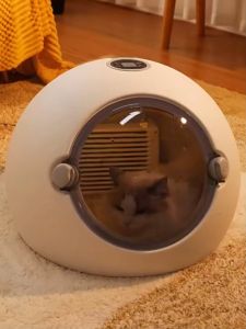 Pet Dryer Auto Grooming Cabin Low Noise Multi-Functional Drying Baker 35°C Perfect Temperature Suitable for Cat/Kitten/Puppy/Dog Approximately 55 liters Box Ultraviolet Disinfection Lighting Dryer Water Hair 宠物烘干箱