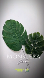 Daun Monstera Plastik Jumbo Daun Artificial