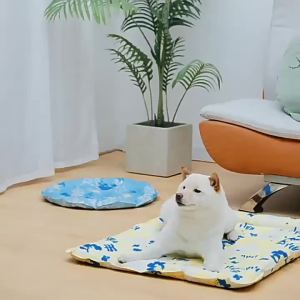 Gel Cooling Pad Water Free