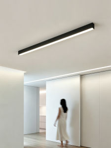 DGY | Modern Minimalist Ceiling Light