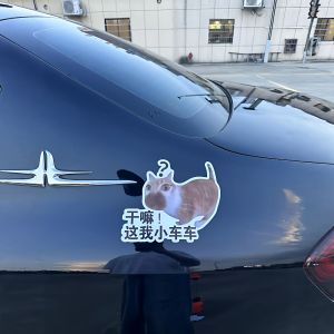 Funny Cat Meme Decal Sticker Creative Text Decorative Car Rear Bumper Scratch Cover Adhesive Vinyl Auto Decoration