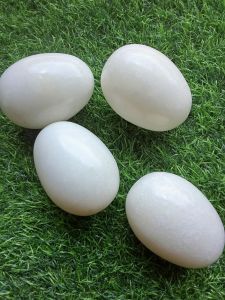 หินแท้สีขาว(ทรงไข่)ขนาดกว้าง5ซม.สูง6ซม.เสริมความอุดมสมบูรณ์มีกินมีใช้