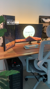 EXPOSE Monitor stand dual monitor mount for desk monitor riser portable monitor arm desk mount monitor table riser