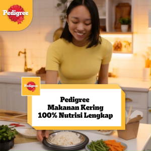 PEDIGREE Dry Dog Food Adult Dog - Beef & Vegetables / Chicken & Vegetables / Lamb & Vegetables 10kg