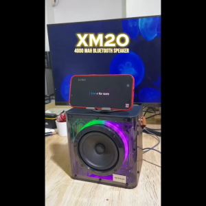 AVIDUS XM20 Colorful Mini Handheld Karaoke Bluetooth Speaker 4000mAh Family / Outdoor Portable Wireless Speaker With Colorful Lighting