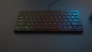 APAYADO | M70 Wired Mini Keyboard 75% Layout Chocolate Keycaps Quiet Typing Colorful LED Backlight Luminous Letters USB Keyboard for PC