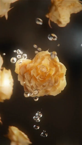 Khair Felicity by Paris corner 100ml EDP