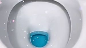 Toilet Effervescent Tablets: A Comprehensive Guide