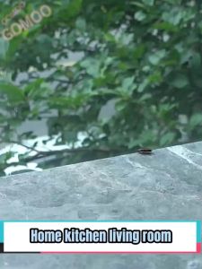 ✅ Buy 2 free 1 ✅ Japan Cockroach Gel Bait For home and car Death from infection Non-toxic to pet and people Repellent Cockcroach killer Poison Cockroach Traps