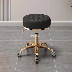 MOLORE | Adjustable Rolling Salon Chair