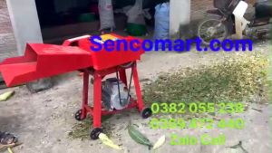 Máy băm cỏ voi băm rơm cây ngô mía... làm thức ăn chăn nuôi làm phân vi sinh