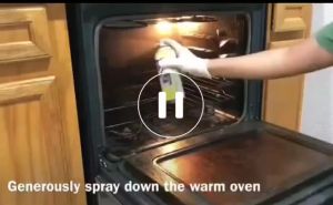 Pencuci Oven & Dapur Gas Heavy Duty Ready Stock Heavy Duty Oven & Gas Stove Cleaner Spray烤箱清洁剂