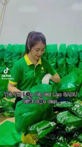 Trà Túi Lọc Cà Gai Leo Sadu Bịch 250g - Hỗ Trợ Mát Gan Hạn Men Gan Ức Chế Virus Thanh Nhiệt Cơ Thể Thải Độc Gan