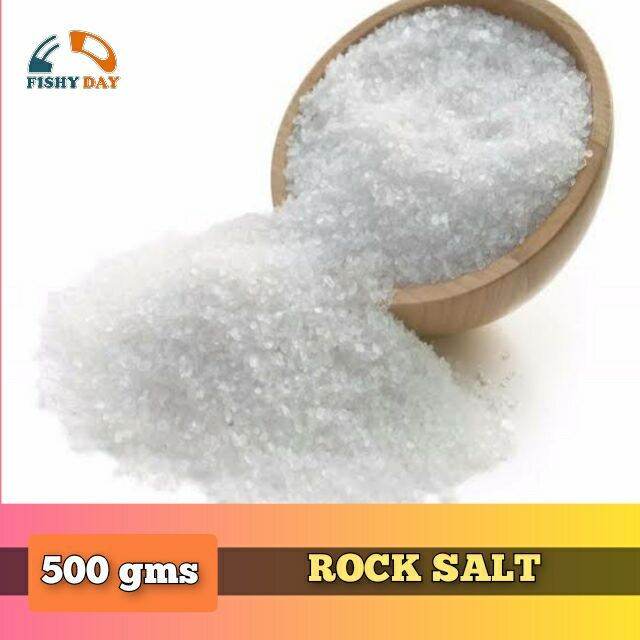 ROCK SALT 500 GRAMS | Lazada PH