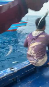 Kail Pancing Kotrekan Sabiki Rintak Bulu Sutra size 18