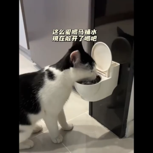 SKISOPGO Pet Toilet Water Dispenser Dog Fountain Cat Feeder Drinking Bowl Water Dispenser Automatic 宠物饮水机
