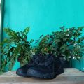 sepatu gunung hiking treking outdoor boa system treksta size 43 second. 