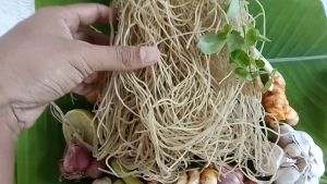 Mie Lethek Cap Semar 250 gram Khas Bantul Gluten Free Kualitas Super Rasa Sehat Alami Yogyakarta original Dapat Resep Memasak Gratis