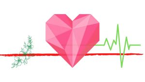 Thailand Longan Mata Kucing 100g