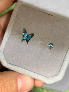 Blue Butterfly Ear Studs Womens Miniature Elegant Design Fashionable Jewelry Fresh out New Style Alloy Silver Gold Plated
