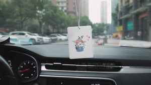 20PCS Felt Piece Pendant Air Freshener Sheets Felt with Bags and Elastic Rope Hanging Air Freshener