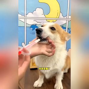 กดสำหรับสัตว์เลี้ยง Feeder ผงยา Liquid Medicine Feeder เข็มฉีดยาสำหรับสุนัขแมว Pet Feeder สองหัวให้อาหาร