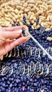 Whole Roasted Black Peanuts 500g Ready to Eat | High Protein Healthy Snack | Natural Antioxidant Rich