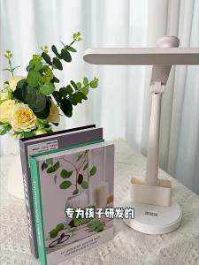 Ruijie | Eye-protection Study Lamp for Children