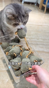 Đồ Chơi Chuột Lông Nhung Tự Động Có Tiêng Kêu Cho Thú Cưng Chó Mèo - iPet Shop