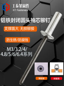 Aluminum Iron Core Extractor Rivet M3-M6 Flat Head Waterproof Pull Pin GB12615.1 Hex Head Blind Rivet for Hardware Tools