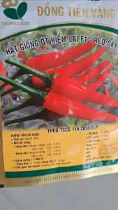 Hạt Giống Ớt Hiểm Lai F1 RED SKY 86 ĐỒNG TIỀN VÀNG (Gói 5gr)-Trái rất sai trái thuôn bụng to đầu tù đẹp