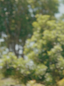 [Single Pack] Enternal Summer Fashion Gala Shape&Color Ultra-Thin Disposable Diapers Pants L-3XL BREATHABLE  daipers