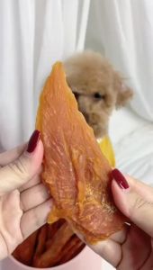 Pet Chicken Jerky Snack for Dogs Cats Training Treat Ready Stock