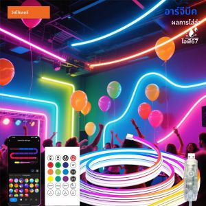 Wiscolor โคมไฟนีออน LED RGBIC แบบแถบกันน้ำ 5V USB 1/2/3/5m ริบบอนซิลิโคนที่ยืดหยุ่น สีแฟนตาซี ซิงค์กับเสียงเพลง พร้อมแอปพลิเคชันและรีโมทคอนโทรล สำหรับตกแต่งบ้าน DIY