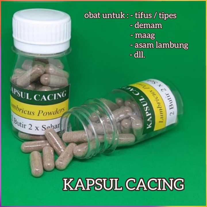 Kapsul cacing obat untuk tipes isi 30 pcs