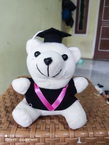 TERBARU Boneka bear wisuda Boneka bear mini lucu imut boneka bear wisuda boneka bear 14cm