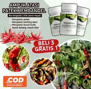 The Best Produk COD//Pupuk Cair Trikoderma - Obat Patek Layu Busuk Akar Buak & Tanaman