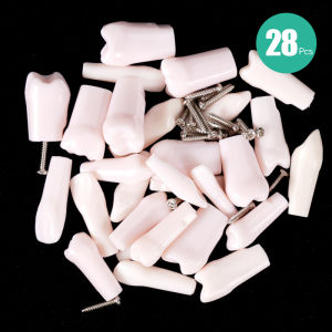 28pcs Dental Teeth Model Typodont Screw-in Replacement Teeth Dentistry Practice Training Teaching Resin Simulation Tooth Model