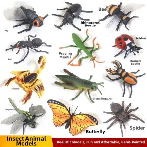 Insect Educational Toys Models