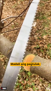 Portable SK5 steel folding hand saw woodworking saw fruit tree pruning saw garden saw household logging saw
