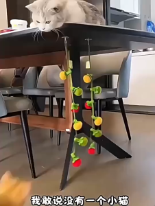 CẦN CÂU TRÁI HỒNG ĐỒ CHƠI CẦN CÂU CHO MÈO VUI NHỘN DỄ THƯƠNG