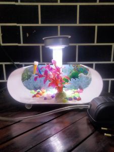 akuarium mini viral 22cm x 9cm x 10cm full set lengkap dengan mesin dan aksesorinya