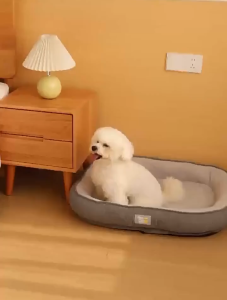 Dog Bed Cat Beds for Indoor Cats Machine Washable Comfortable Pet Bed with Non-Slip Bottom Removable Outer Cover Thickened Upgraded Four Seasons Universal